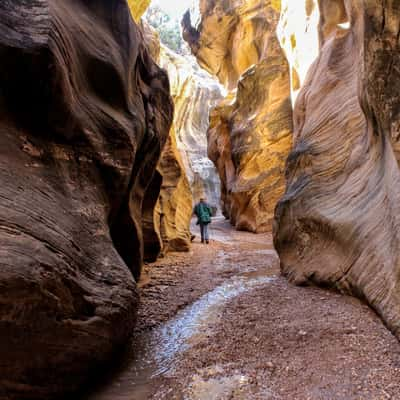 Willis Creek, USA