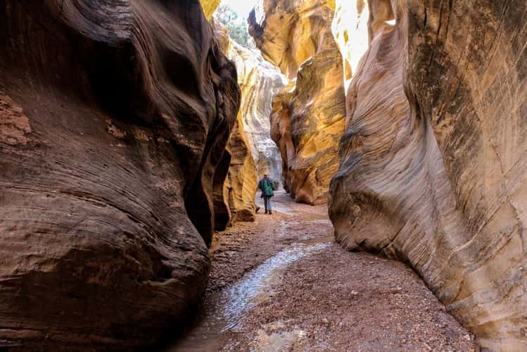 Willis Creek