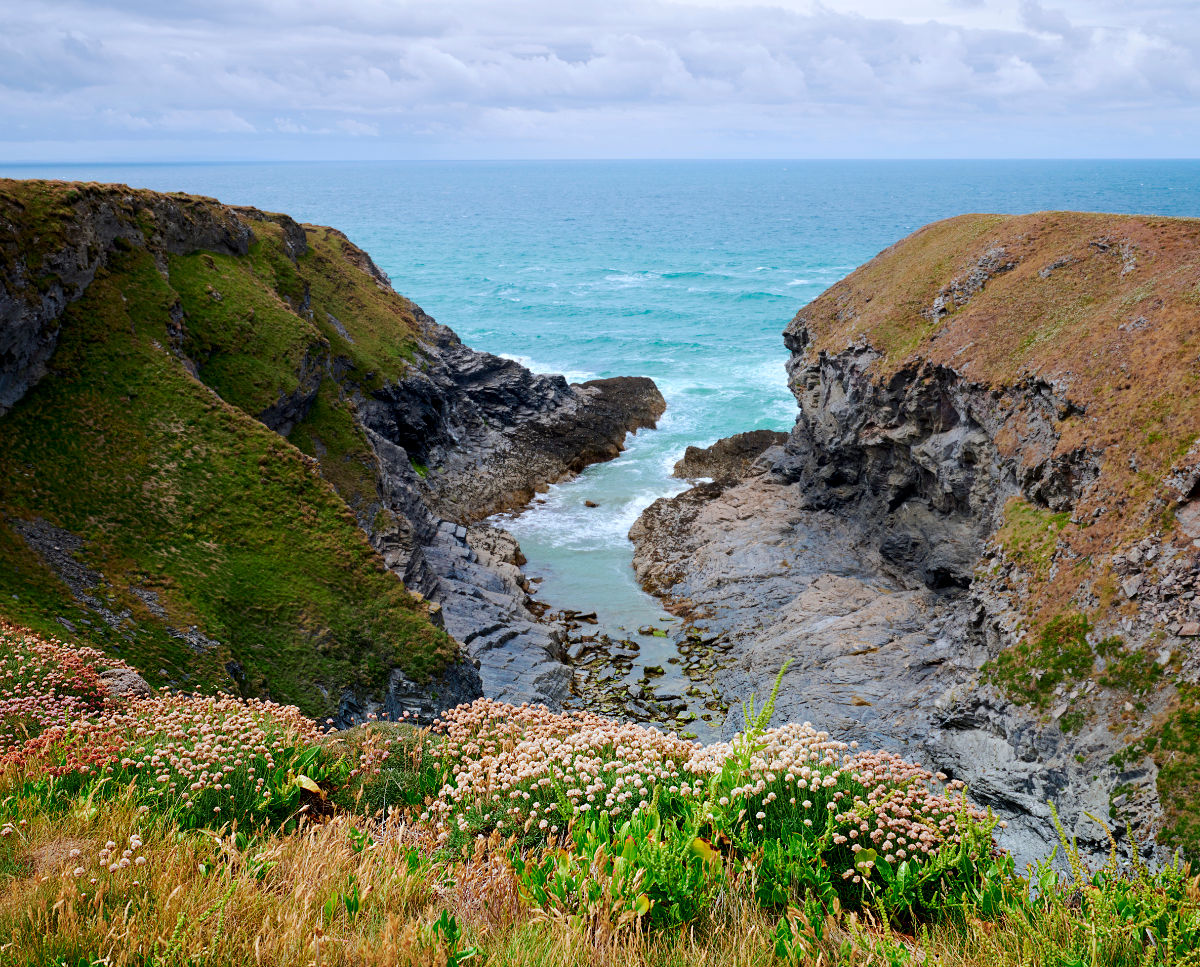Wine Cove, United Kingdom