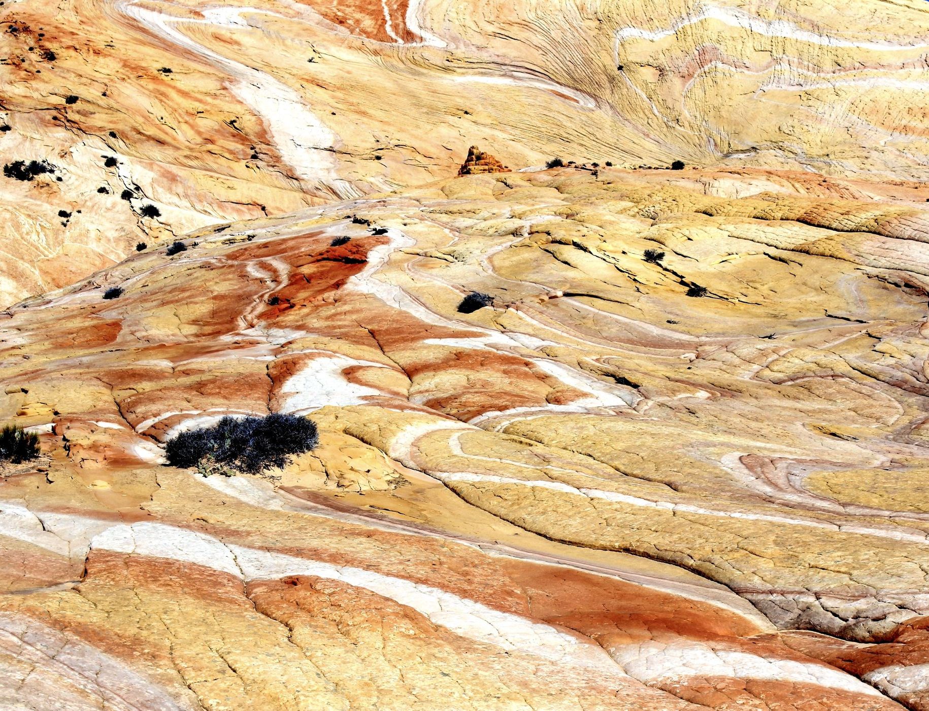 Yellow Rock, USA