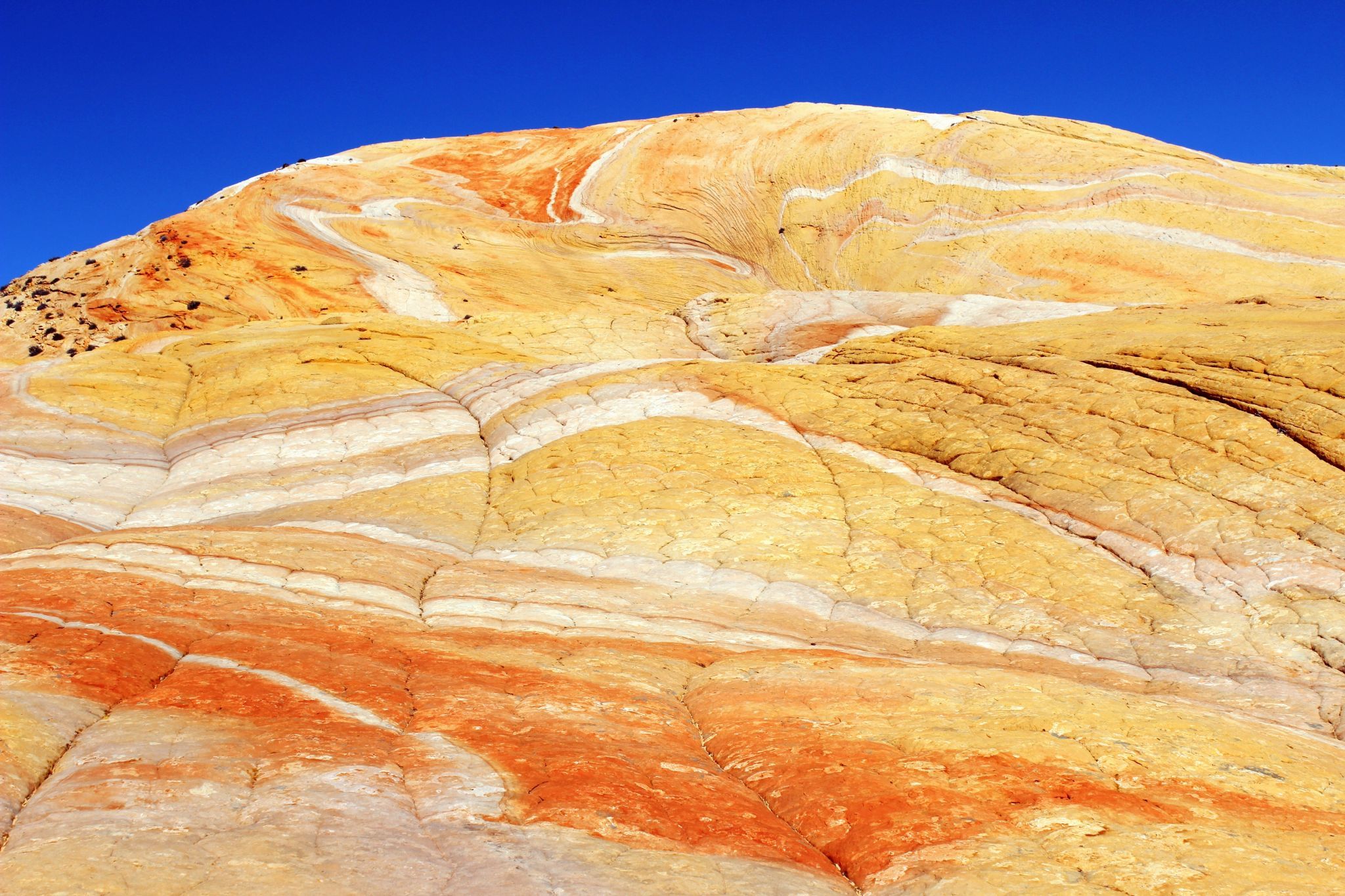 Yellow Rock, USA