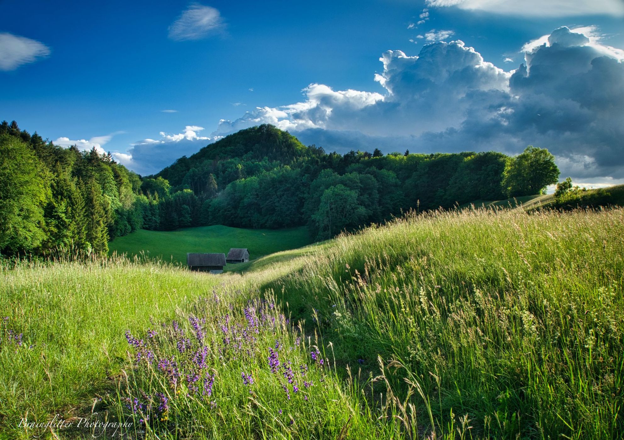 Zeglinger Berg, Switzerland