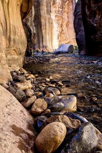 Zion Narrows in May