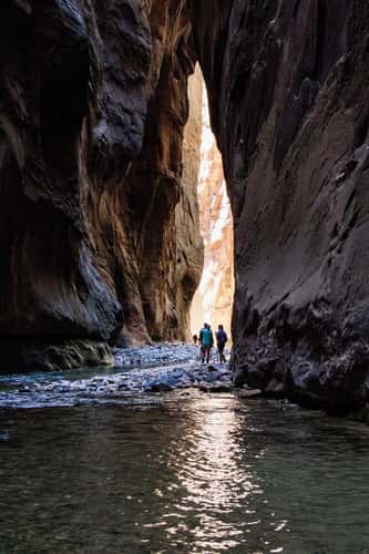 Zion Narrows in May