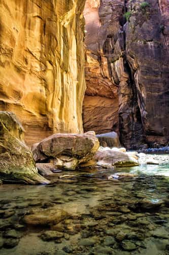 Zion Narrows in May