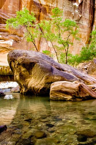 Zion Narrows
