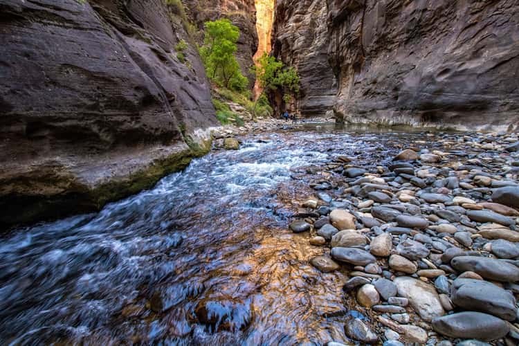Zion Narrows