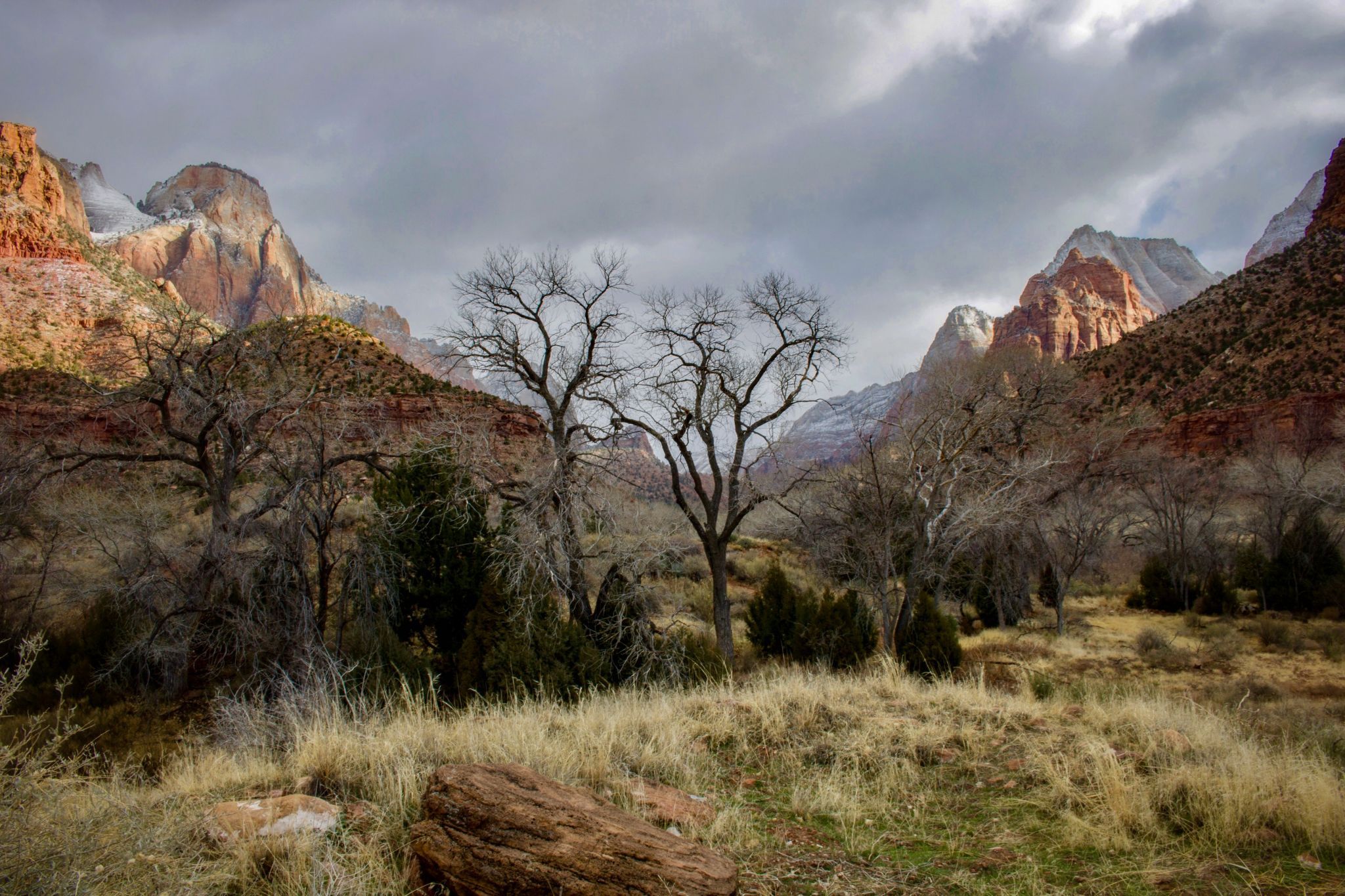 Zion Nature Center, USA