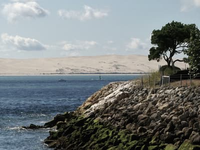 44 Hectares, Cap Ferret