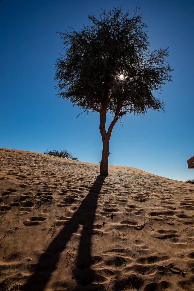 Al madam Buried village, United Arab Emirates