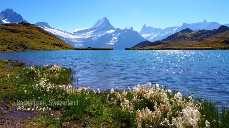 Bachalpsee, Grindelwald -Switzerland