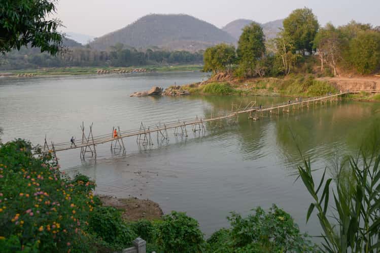bamboo bridge