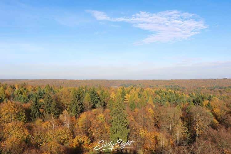 Baumwipfelpfad Steigerwald