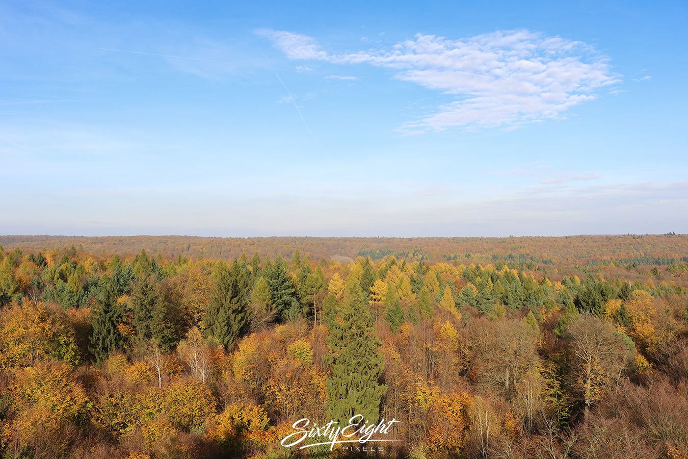Baumwipfelpfad Steigerwald, Germany