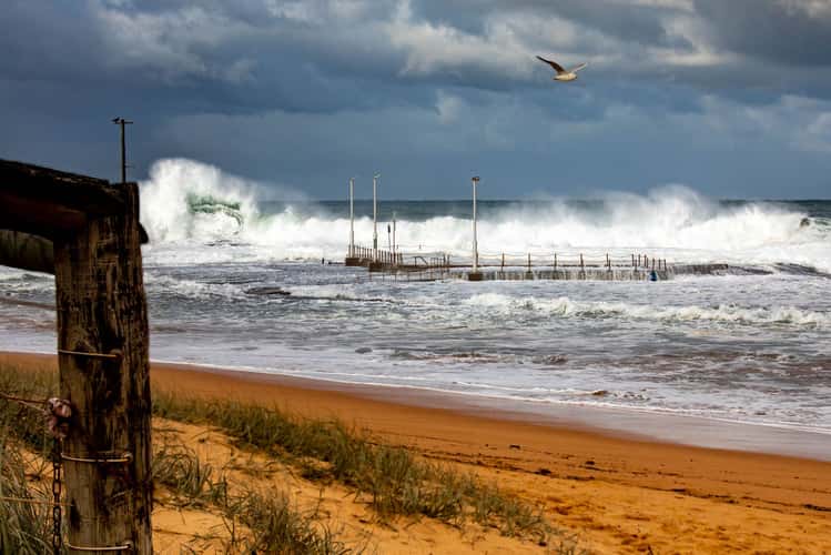 Big Wednesday Mona Vale pool Sydney
