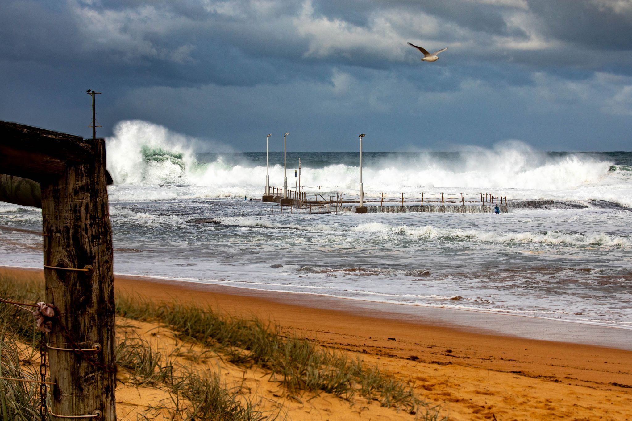 Big Wednesday Mona Vale pool Sydney, Australia