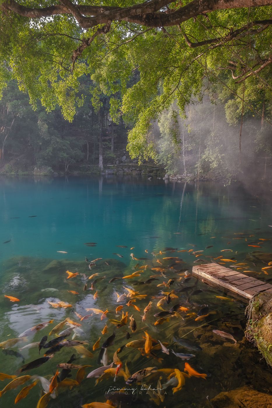 Blue Lagoon of Situ Cicerem, Indonesia