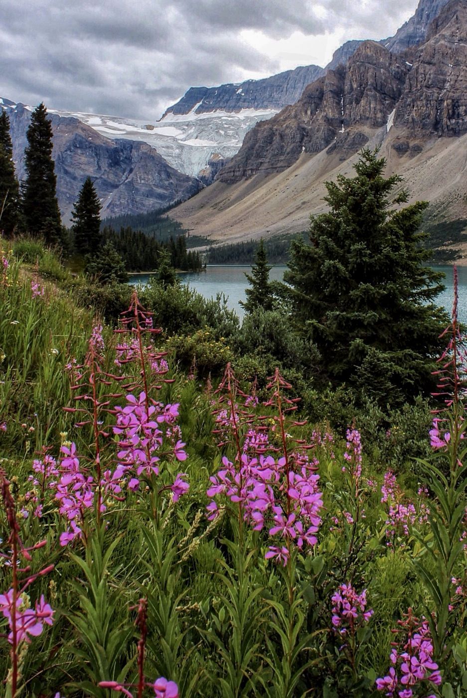 Bow Lake, Canada
