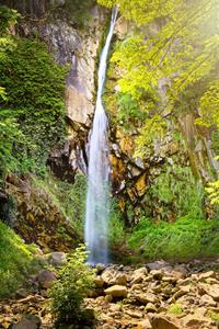 Brandis waterfall / Lana / Italy