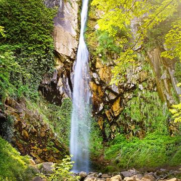 Brandis waterfall / Lana / Italy, Italy