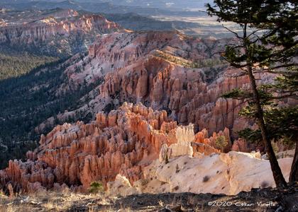 Bryce Point, Bryce Canyon National Park