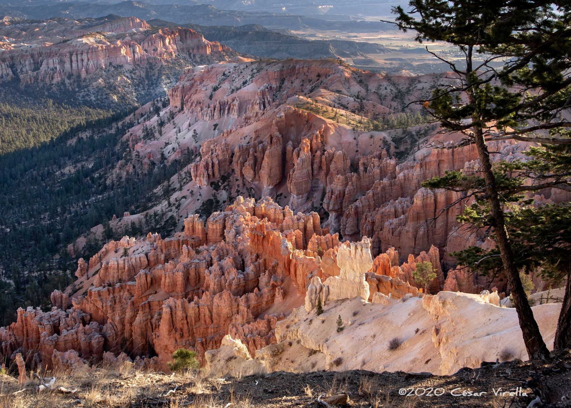 Bryce Point, Bryce Canyon National Park, USA