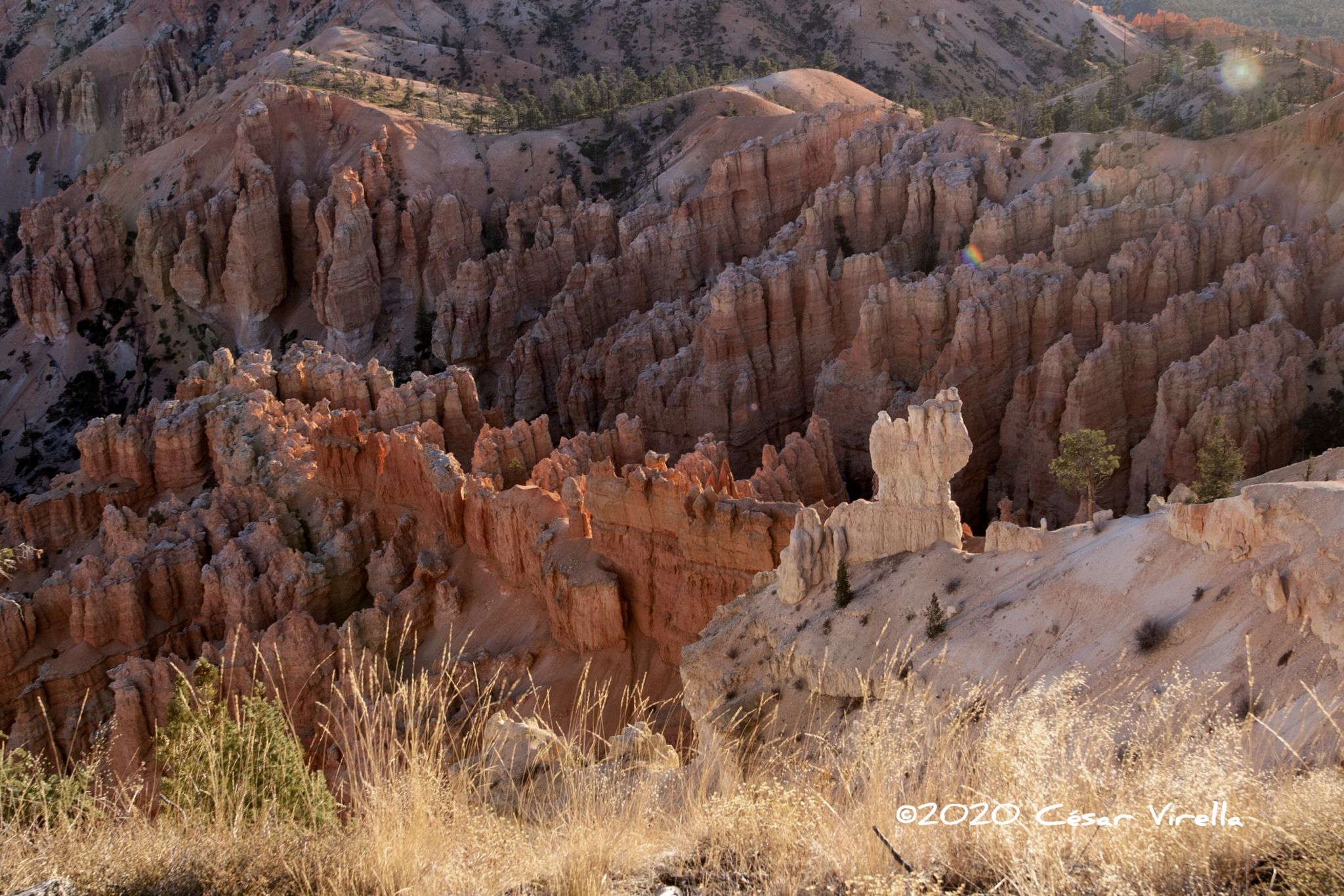Bryce Point, Bryce Canyon National Park, USA