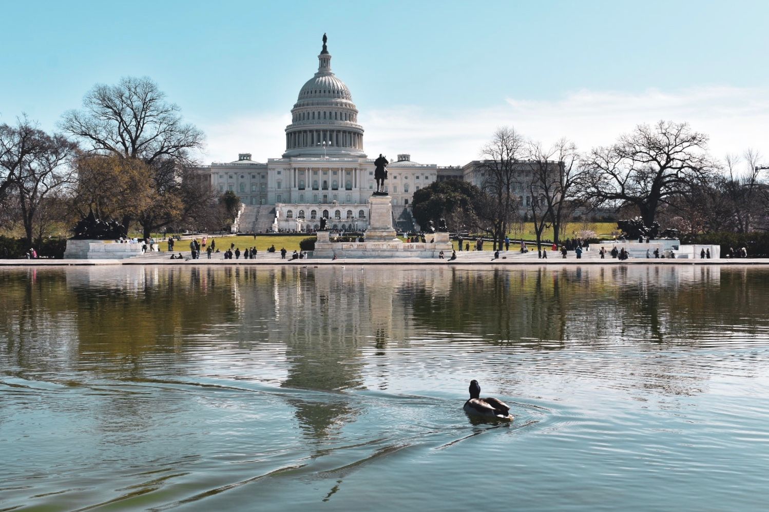 Capitol Reflection, Washington DC, USA
