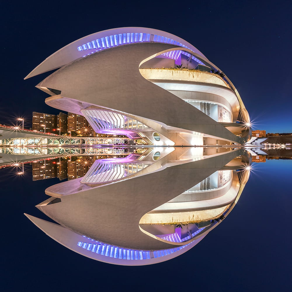Palau de les Arts Reina Sofia, east view, Valencia, Spain
