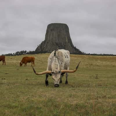 Close Encounters, Devils Tower National Monument, USA