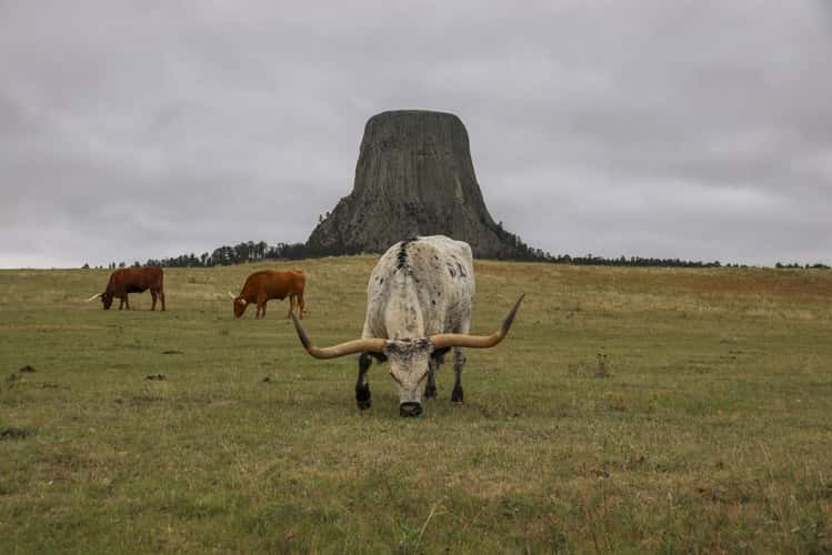Close Encounters, Devils Tower National Monument