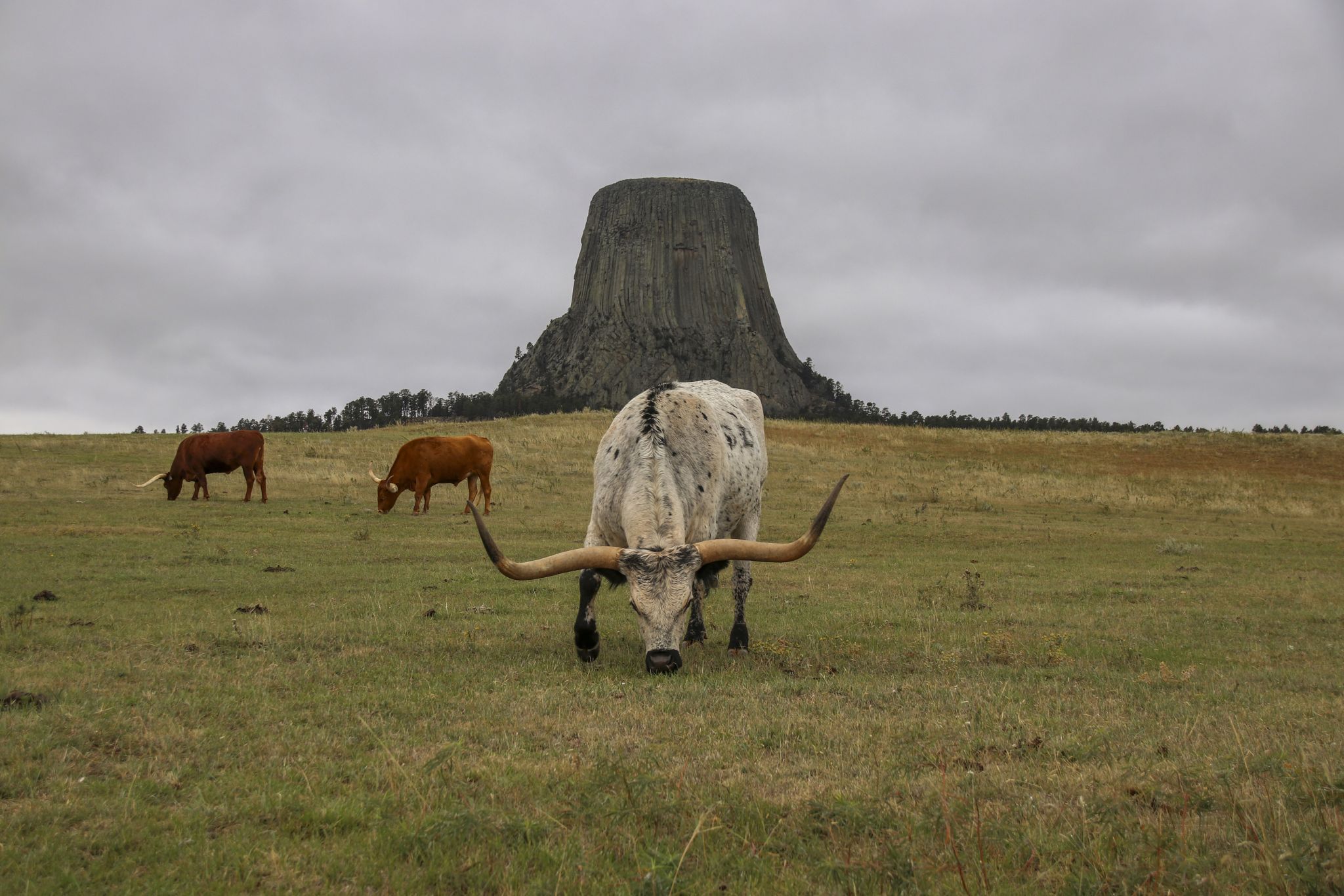 Close Encounters, Devils Tower National Monument, USA