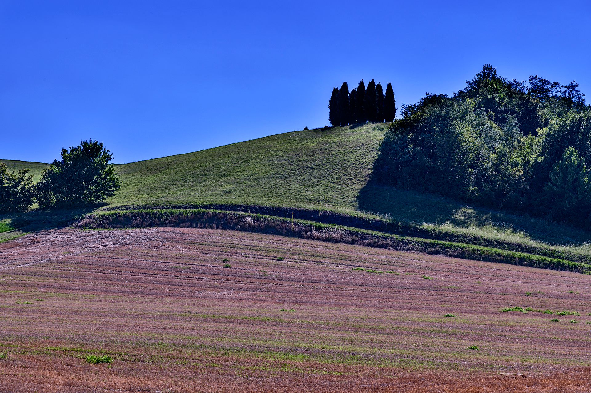 Colli Bolognesi, Italy