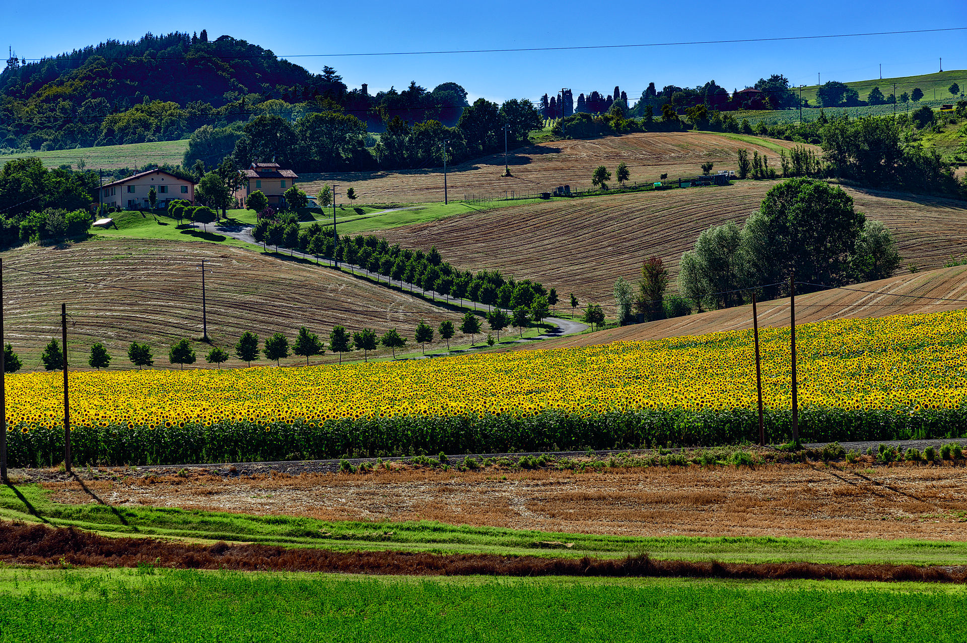 Colli Bolognesi, Italy