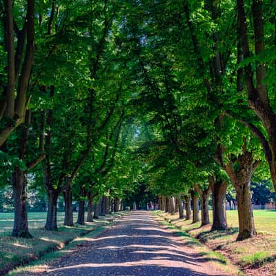 Colli Bolognesi, Italy