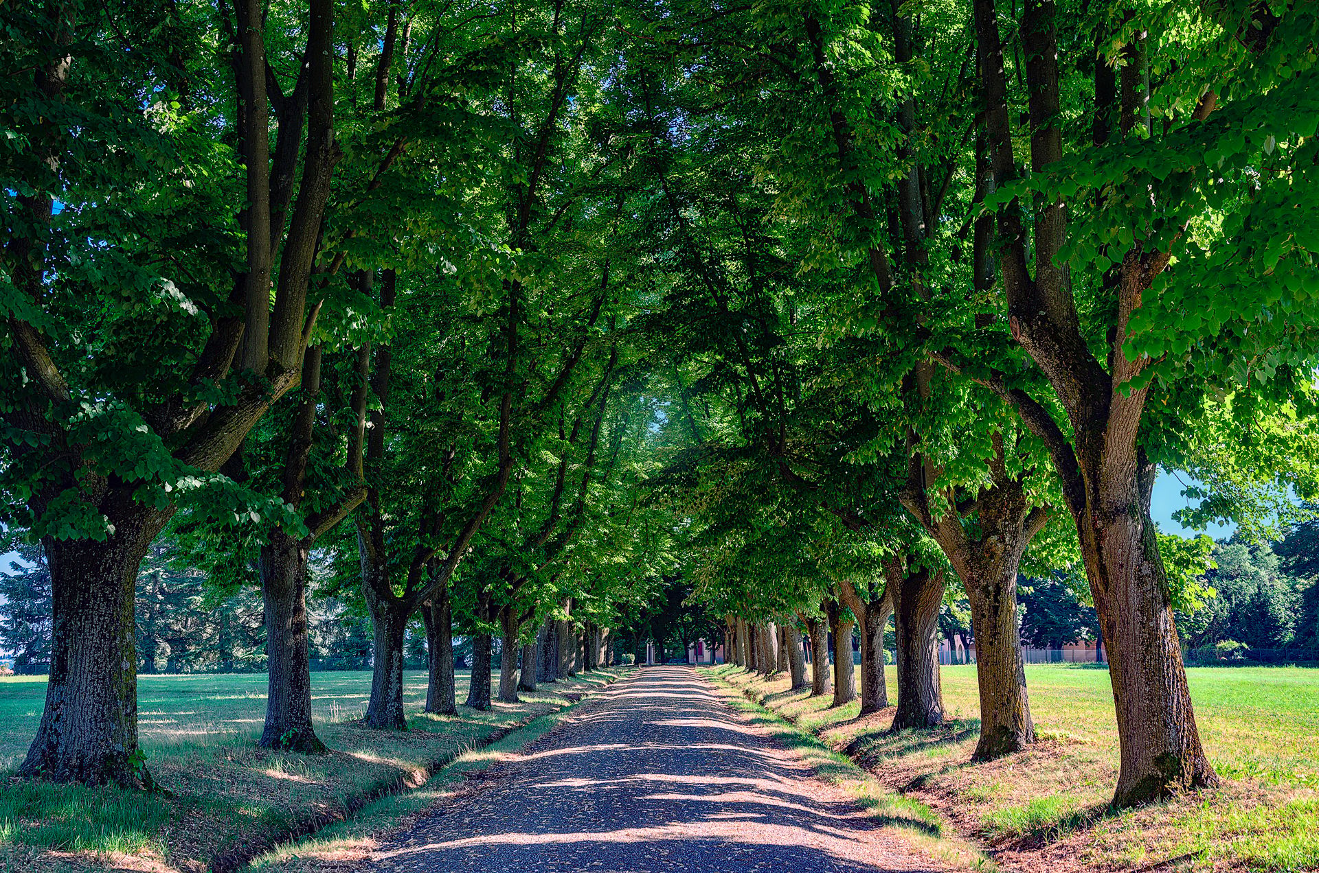 Colli Bolognesi, Italy