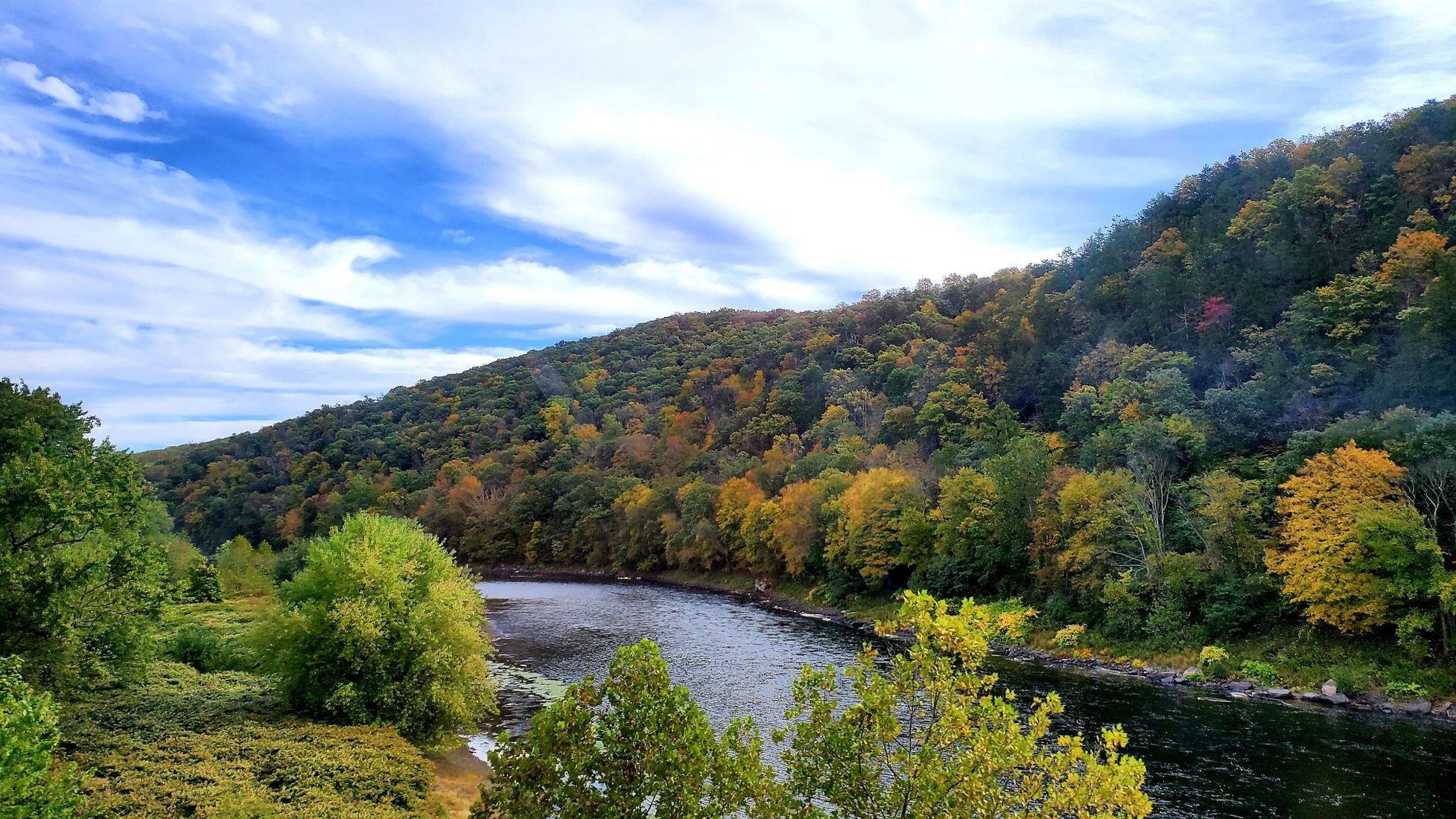 Colorful foliage, USA