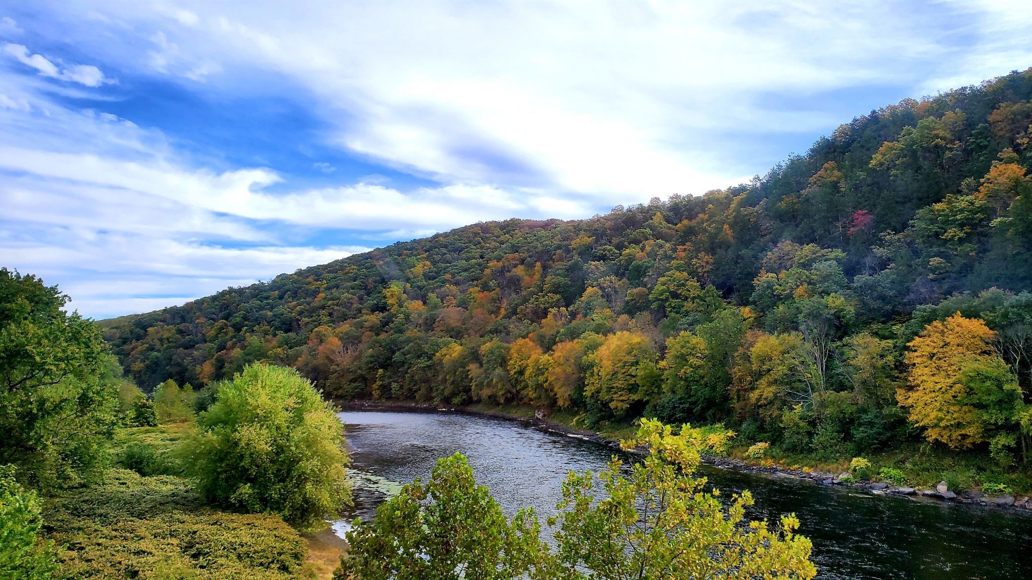 Colorful foliage, USA