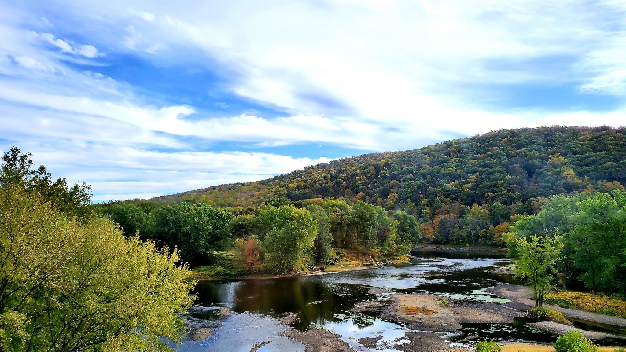 Colorful foliage, USA