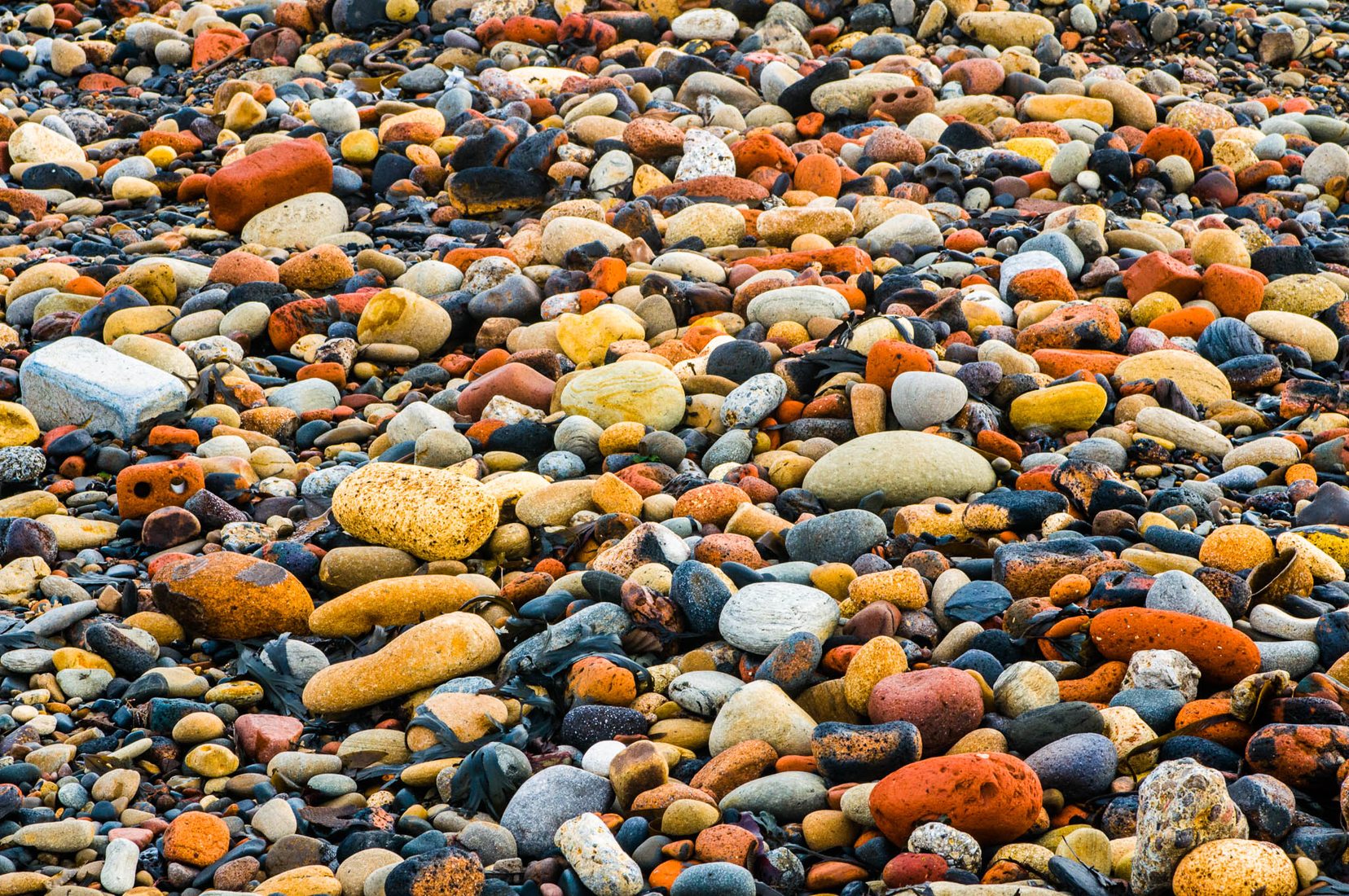 Cresswell Beach, United Kingdom