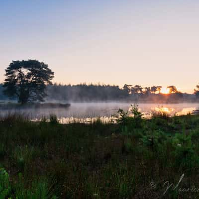 De Zevenboom, Netherlands