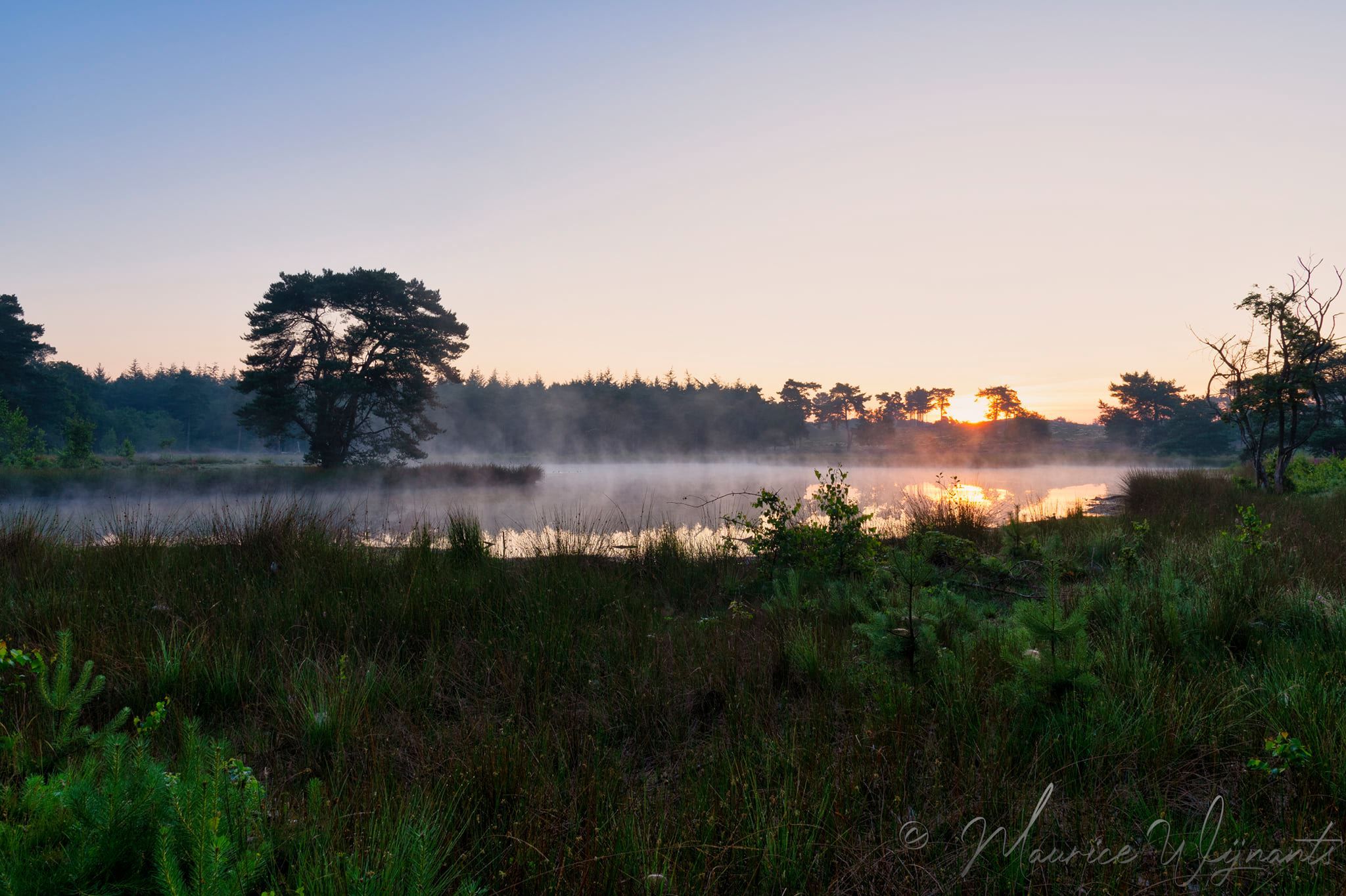 De Zevenboom, Netherlands