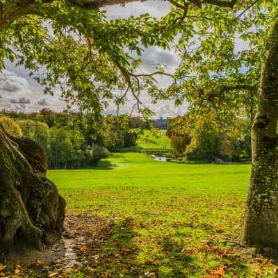 Doneraile Wildlife Park, Ireland