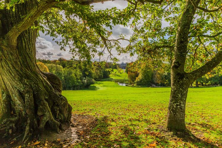 Doneraile Wildlife Park