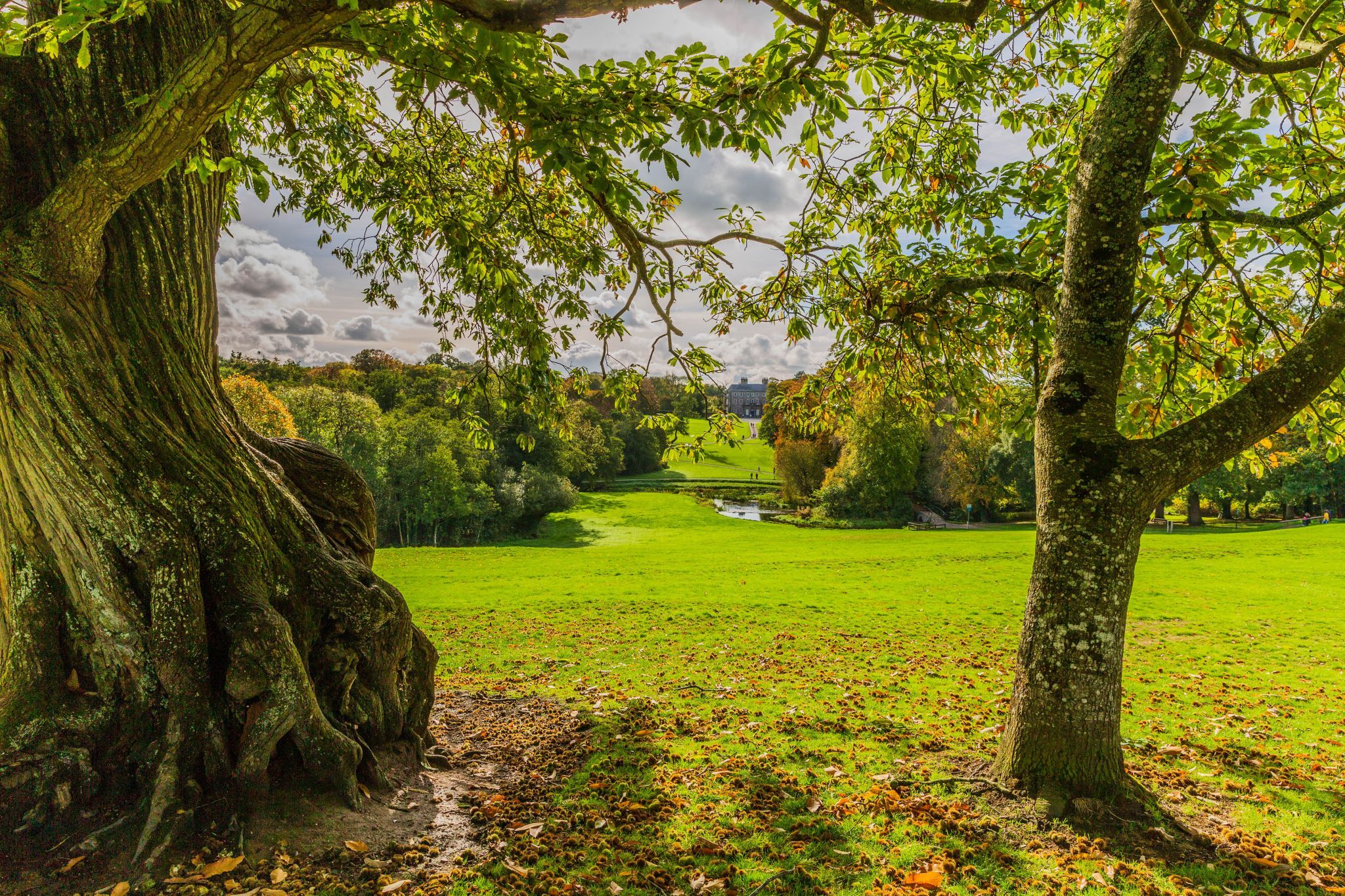 Doneraile Wildlife Park, Ireland