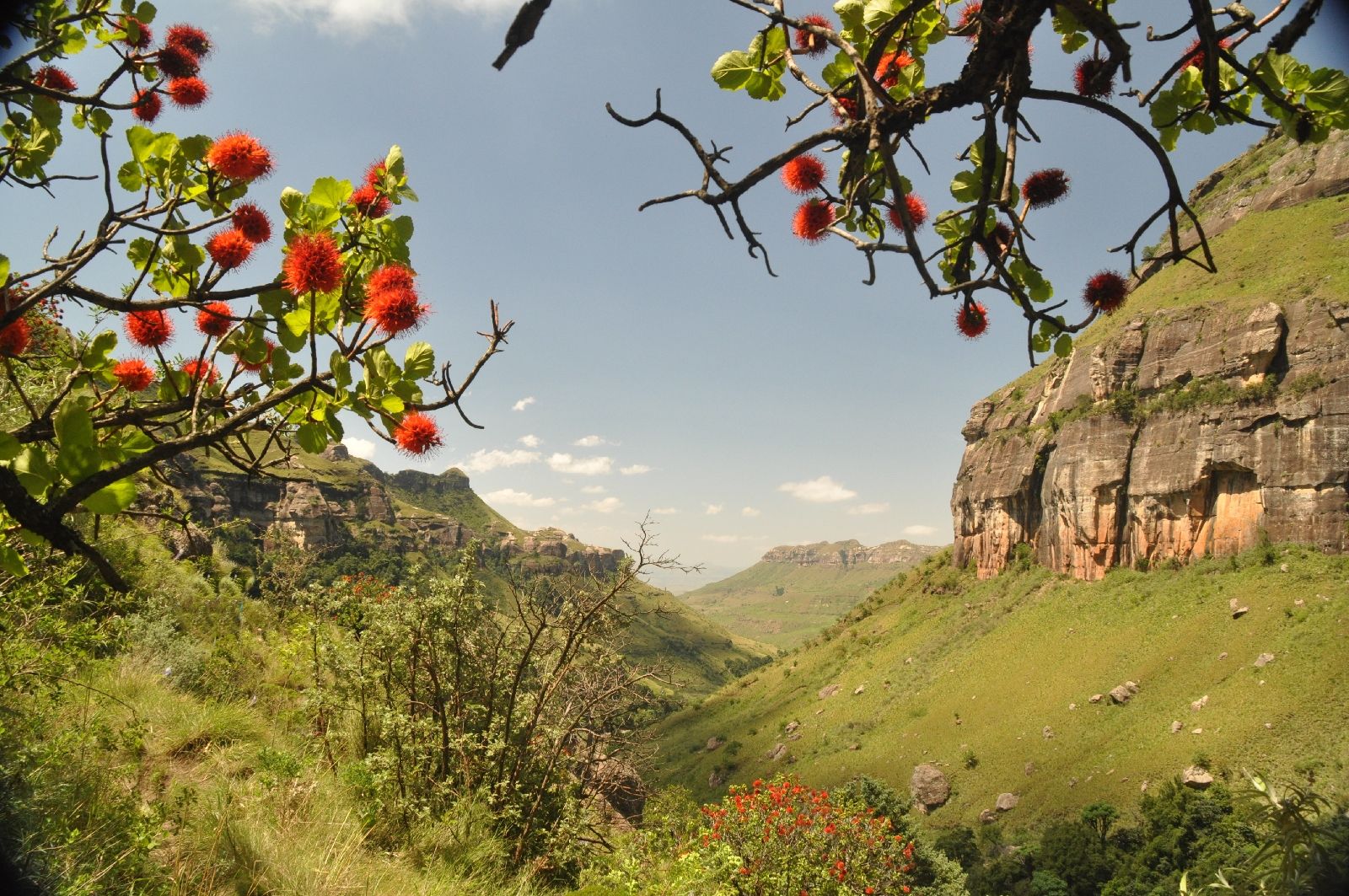 Drakensberg, South Africa