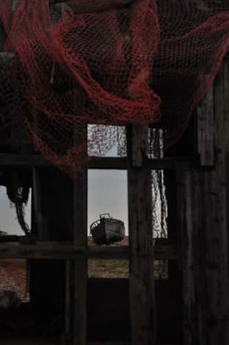 Dungeness Beach
