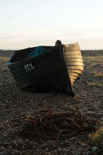 Dungeness Beach