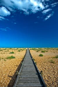 Dungeness Beach