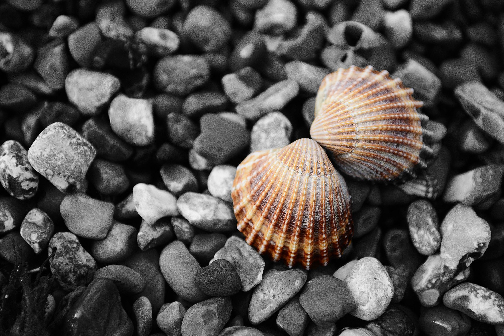 Dungeness Beach, United Kingdom